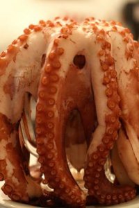 Mat-bläckfisk-mijas.jpg