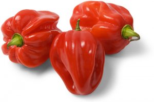 Habanero2.jpg