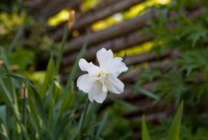 IMG_0776.jpg