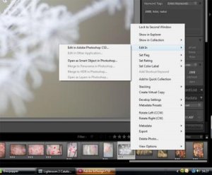 Lr printscreen copy.jpg