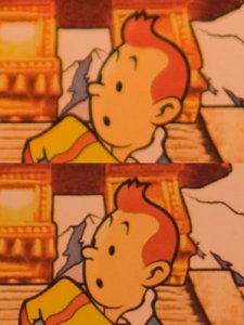 tintin.jpg