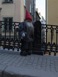 TOMTE.jpg