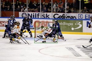 D300.hockey.rawvsjpg.helbild.jpg