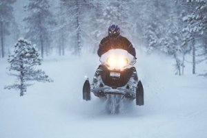 lössnö på myr 400.jpg