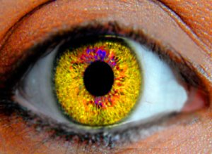 eye2.jpg