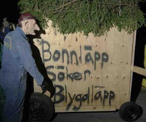 Bonnläpp liten b.jpg