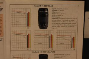 IMG_1626 (Large).jpg