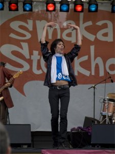 svensk mick jagger.jpg