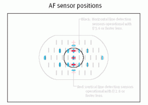 1dvs5d-af.gif