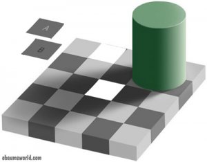 checkershadow.jpg