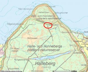 halleberg.jpg