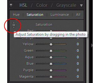 lightroom.gif