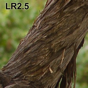 Sharp_1_LR25.jpg