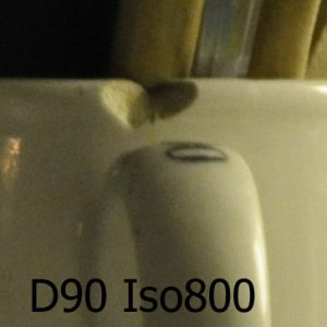 D90 ISO800.jpg