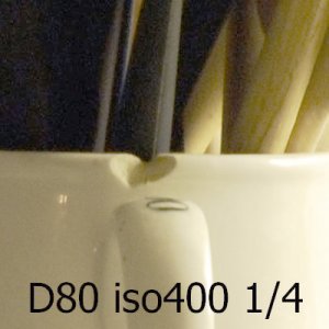 D80_400.jpg