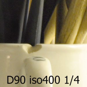 D90_400.jpg