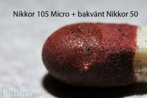 Nikkor 105 Micro + omvänt Nikkor 50.jpg