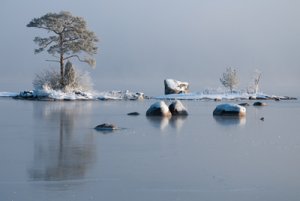 Månadens Naturbild_dec09.jpg