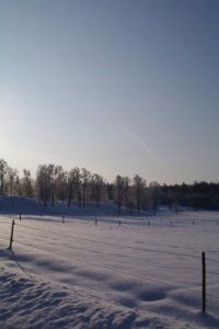 2010 01 30 006.jpg