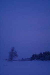 2010 01 30 064.jpg