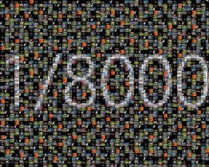 8000 Mosaic02 copy.jpg