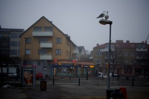 Vaxholm 27Mar10  12775.jpg