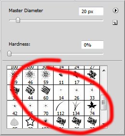 brushes2.jpg