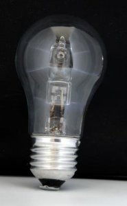 Bulb.jpg