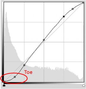 toe.jpg
