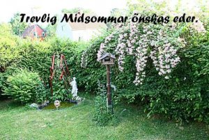 Midsommar hälsning.jpg