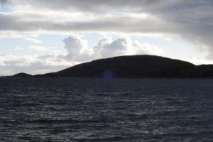 100626_4727 liten.jpg